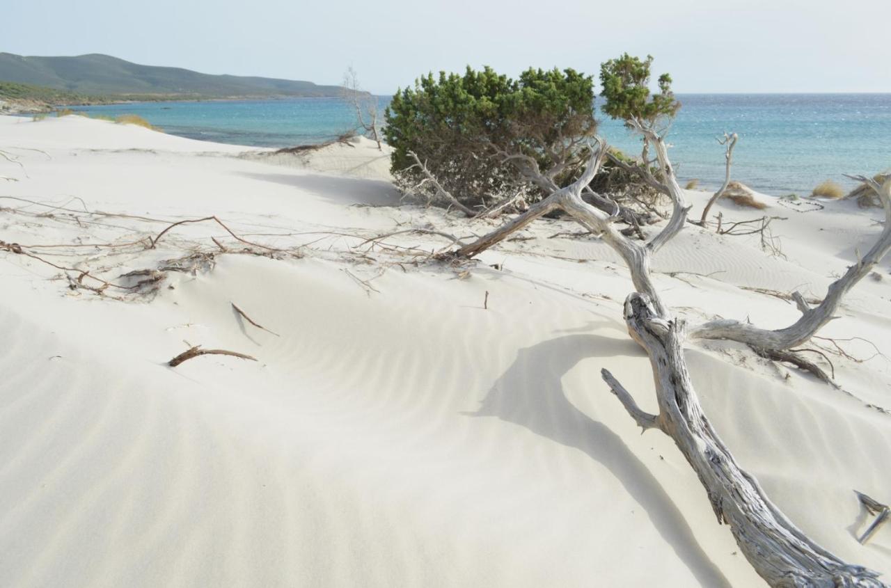 B&B Ajo' A Mulinu Teulada Buitenkant foto